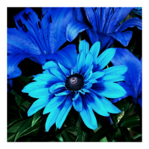 Electric Blue Flowers Poster