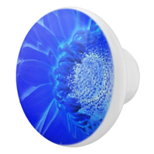 electric blue gerbera ceramic knob