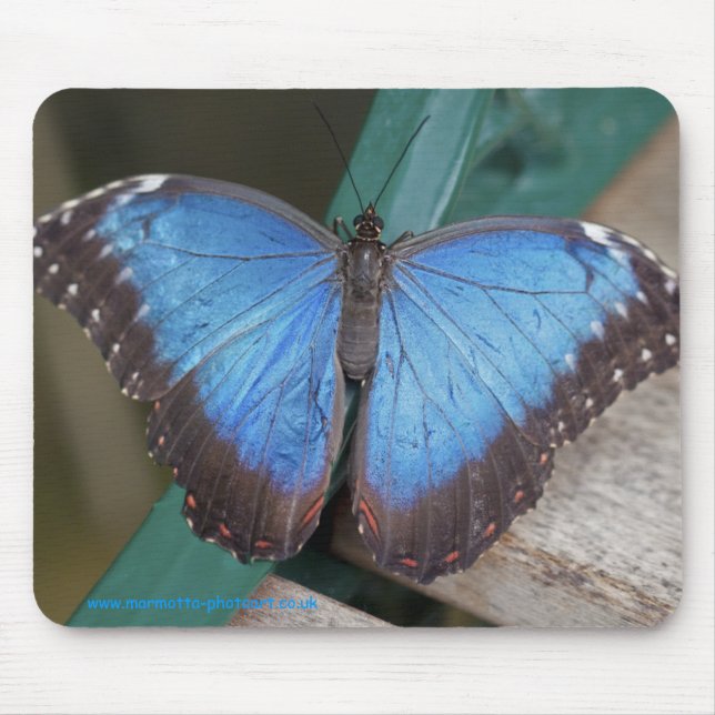 Electric Blue Mousemat Mouse Pad (Front)