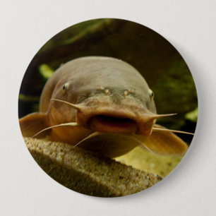 Electric catfish 4 inch round button