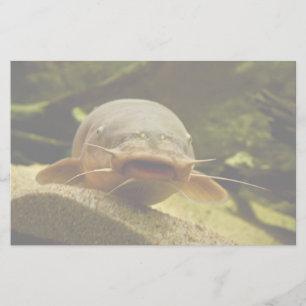 Electric catfish stationery