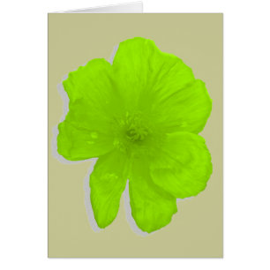 Electric Lime/ PopArt Flower