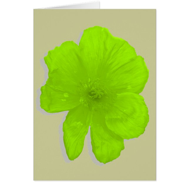 Electric Lime/ PopArt Flower (Front)