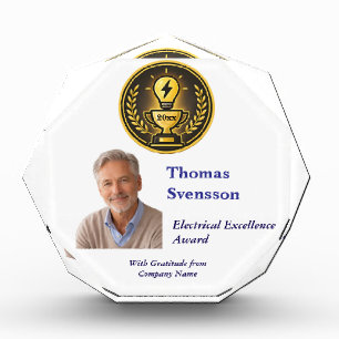 Electrical Excellence Professional Award Photo  Block