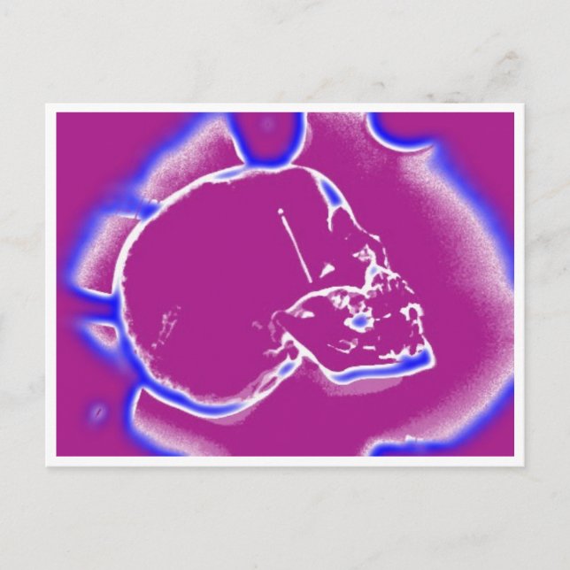 electrichildskull postcard (Front)