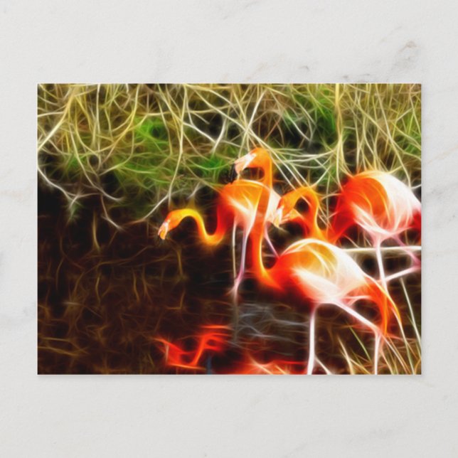 Electrified Flamingos Postcard (Front)