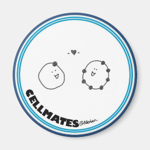 Electron love magnet