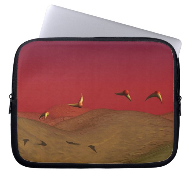 Electronics Bag (Front)