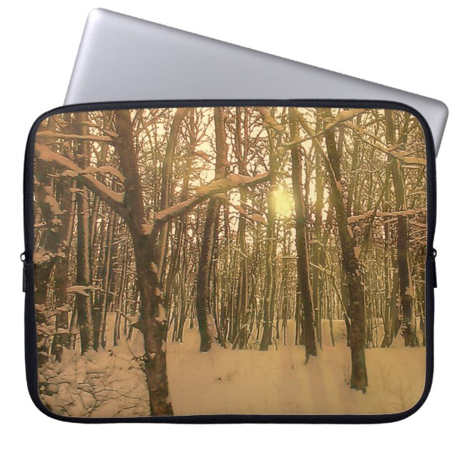 Electronics Bag Winter Forest Snow And Light (Front)