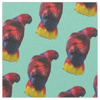 Electus fabric