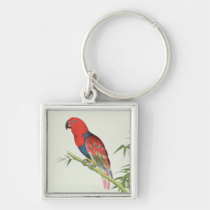 Electus Parrot, on a bamboo shoot Keychain