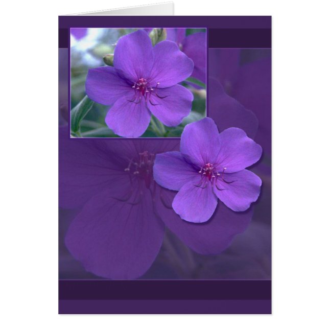 Élégance florale violette (Devant)