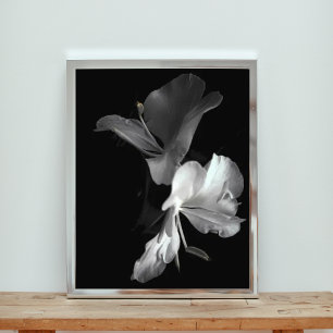 Elegance in Black and White: Close-Up Flower Photo Print