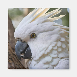 Elegance in White: The Majestic Aussie Cockatoo Magnet