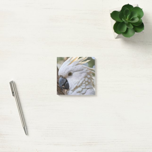 Elegance in White: The Majestic Aussie Cockatoo Post-it Notes (Office)
