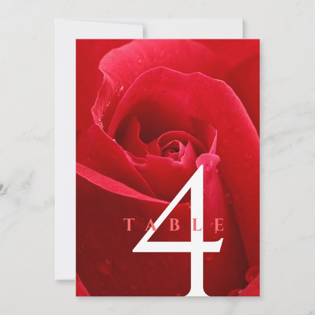 Elegant 15th 26th 36th Rose Wedding Anniversary Invitation (Front)