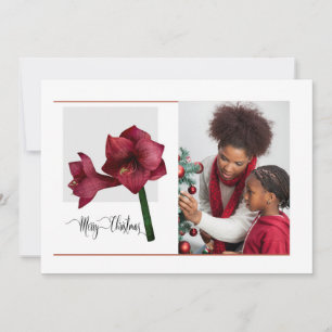 Elegant 1 Photo with Amaryllis Flower,  Christmas Holiday Card