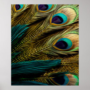 Elegant Abstract Teal Blue Gold Peacock Feathers   Poster