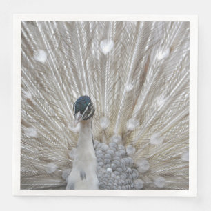 Elegant Albino Peacock Napkin