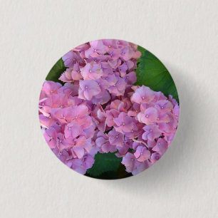Elegant and Rustic Hortensia Hydrangea macrophylla 1 Inch Round Button