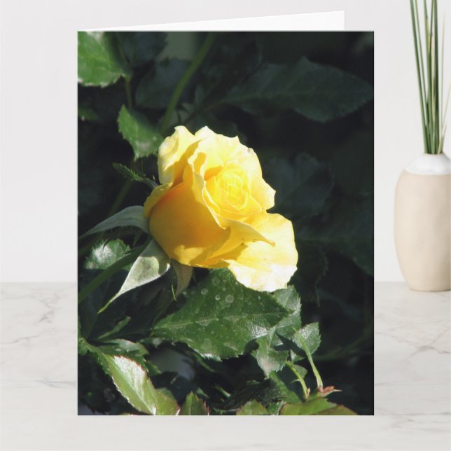 Elegant and Understated Single Yellow Rose in Bloo Card (Front)