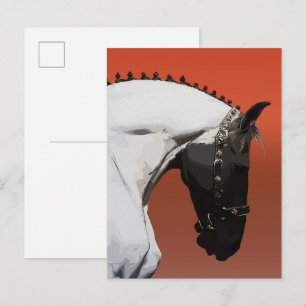 Elegant Andalusian Horse – Majestic Equestrian Art Postcard