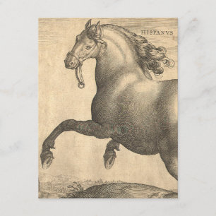 Elegant Antique Engraving of Spanish Horse Invitation