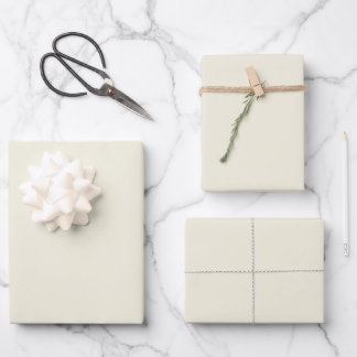 Elegant antique white Minimalist and chic  Wrapping Paper Sheet