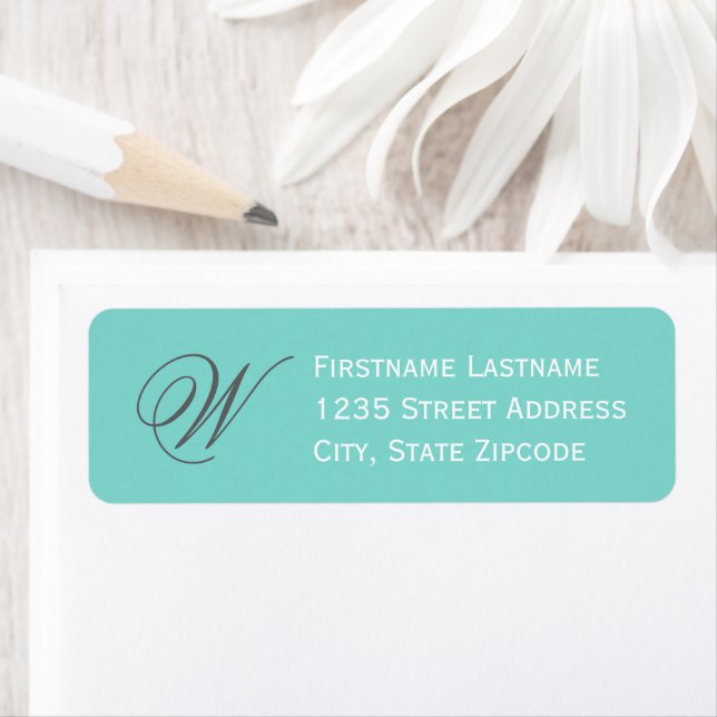 Elegant Aqua Blue Script Monogram Address (Insitu)