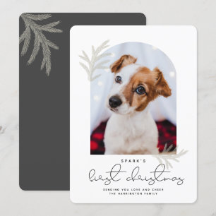 Elegant Arch   First Christmas Pet Dog Modern Holiday Card
