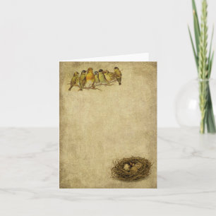 Elegant & Artistic Birds & Nest Note Cards