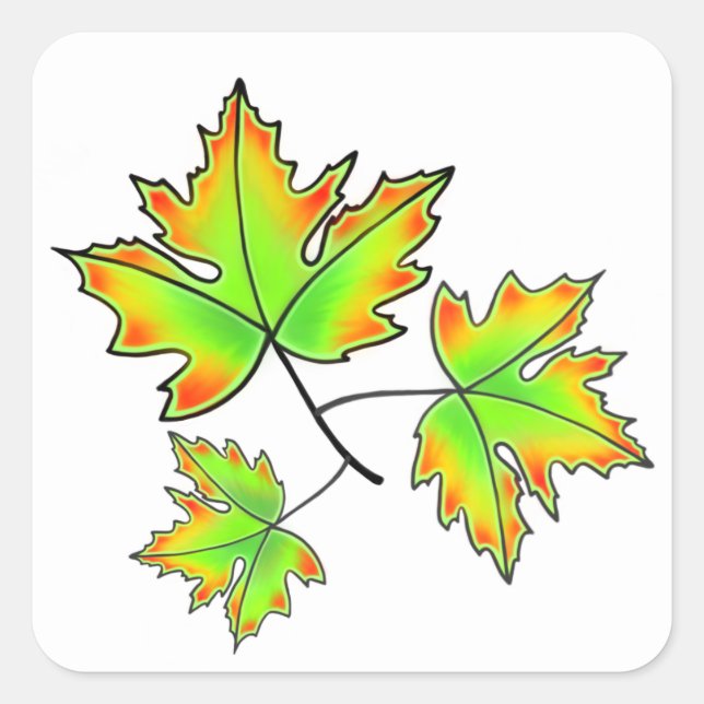 Elegant Autumn leaves green red yellow Maple Leaf Square Sticker (Front)