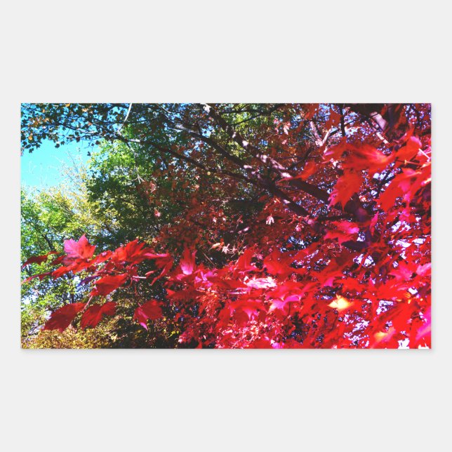 Elegant Autumn trees red pink leaves  Sticker (Front)