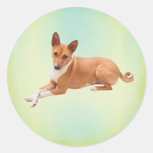 Elegant Basenji Dog Classic Round Sticker