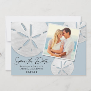 Elegant Beach Dusty Blue White Sand Dollars Photo  Save The Date