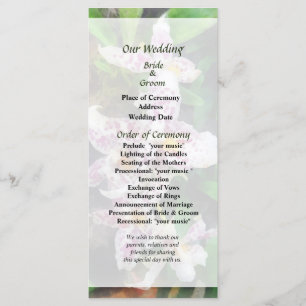 Elegant Beallara Orchids Wedding Program