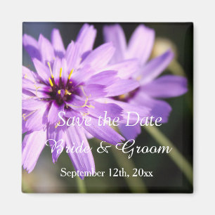 Elegant, beautiful purple daisy save the date magnet