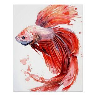 Elegant Betta Fish – Watercolor Print Siamese 
