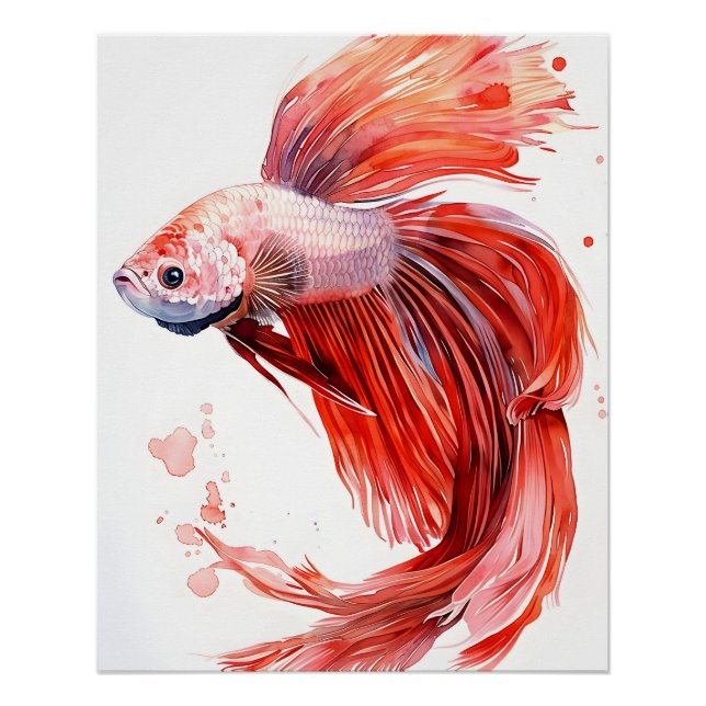 Elegant Betta Fish – Watercolor Print Siamese  (Front)