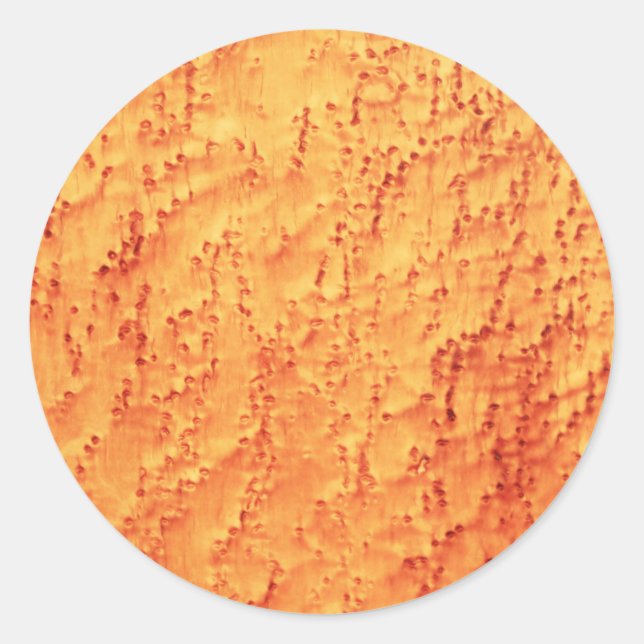 Elegant Bird’s Eye Maple Wood Grains Patterns Classic Round Sticker (Front)