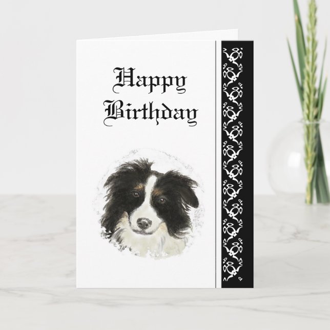 Elegant  Birthday, Border Collie Dog Pet Card (Front)
