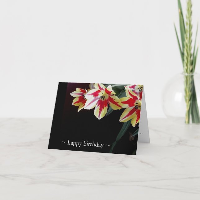 Elegant Birthday Cards- Red & Yellow Tulips Card (Front)