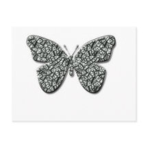 Elegant Black And White  Butterfly