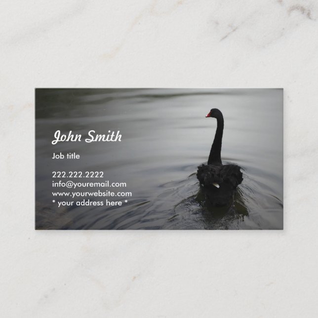 Elegant Black Swan Swimming on a Lake Profile Card (Front)
