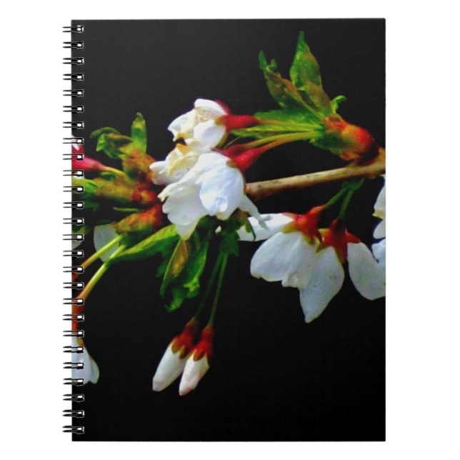 Elegant Black White flowering white Blossom Notebook (Front)