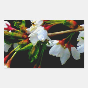 Elegant Black White flowering white Blossom Sticker