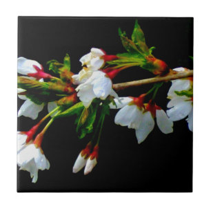 Elegant Black White flowering white Blossom Tile