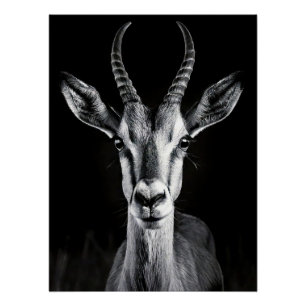 Elegant Black & White Gazelle Fine Art Photo Poster
