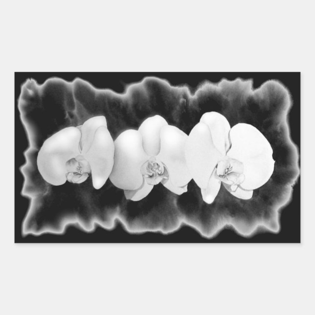 Elegant black white tropical orchids floral sticker (Front)