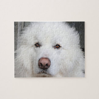 Elégant blanc Grand Pyrénées Puzzle de chien